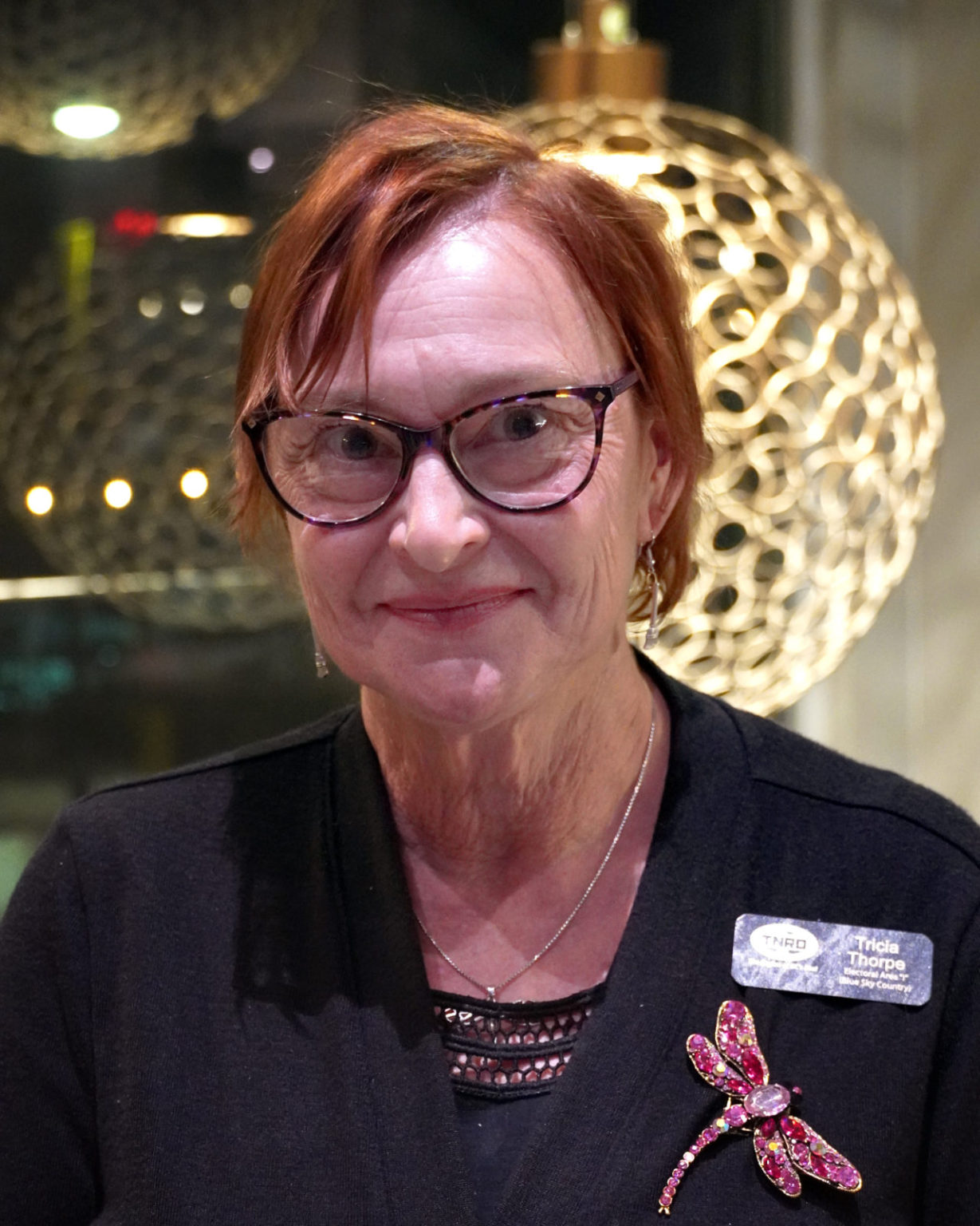 Electoral Area "I" (Blue Sky Country) ThompsonNicola Regional District