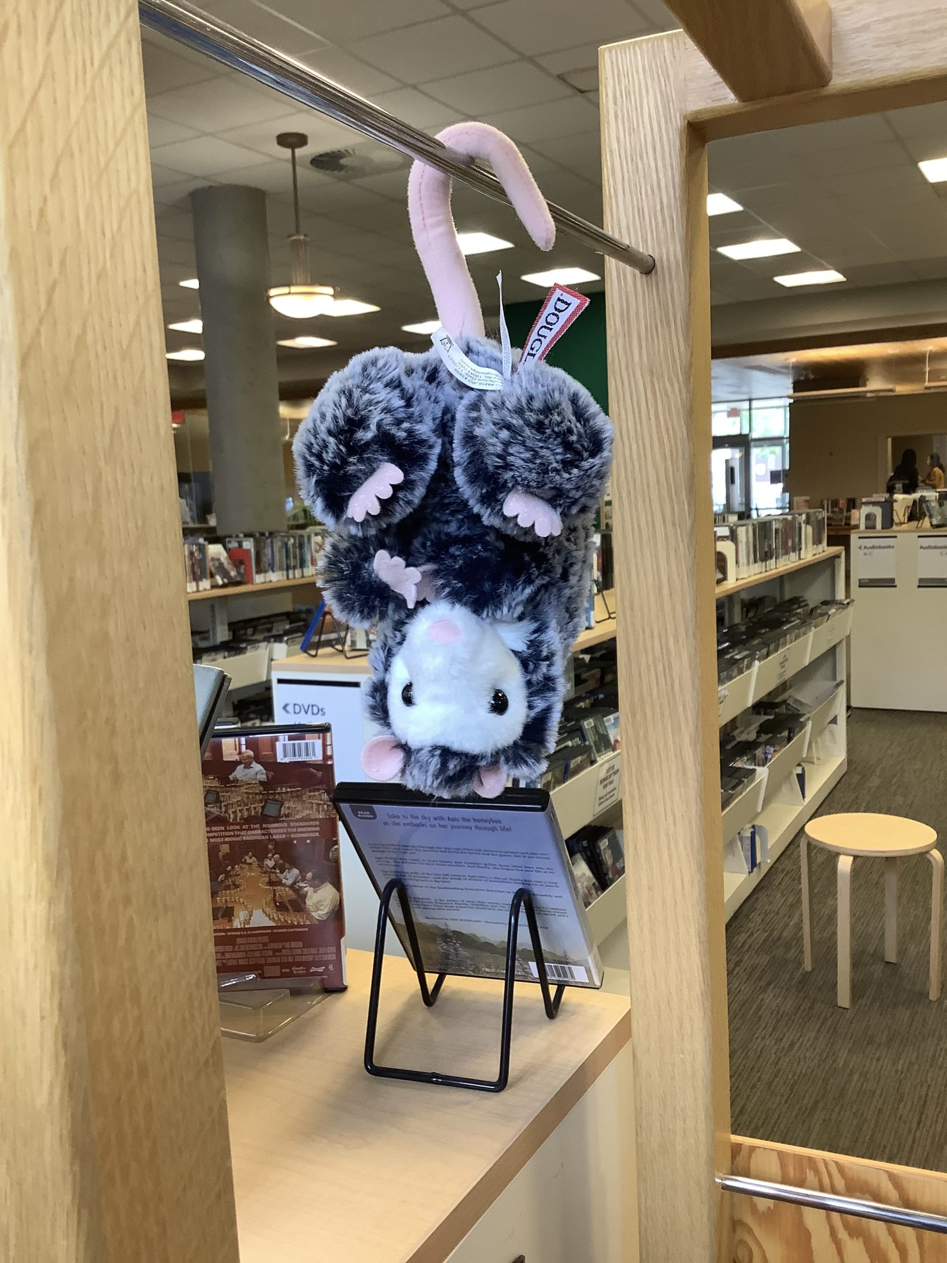 2024 Summer Reading Club Mascot Name Contest - Thompson-Nicola Regional ...